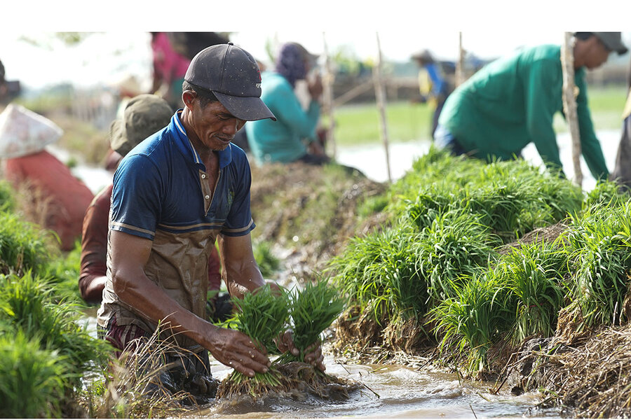 PERTANIAN DAERAH 2025: KETAHANAN PANGAN DAN INOVASI LOKAL