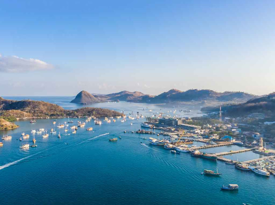 PERIKANAN DAERAH 2025: PRODUKSI IKAN DAN EKONOMI PESISIR