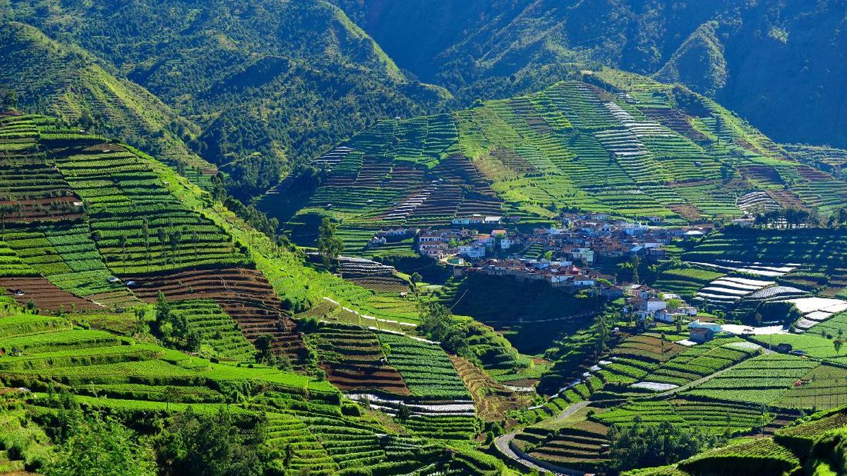 Wisata Pegunungan Indonesia untuk Liburan Sejuk dan Tenang
