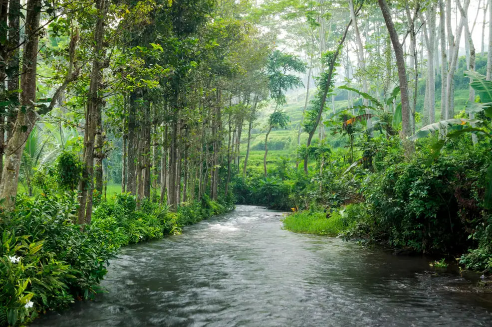 Travel Sungai Indonesia dan Pesona Wisata Air Alami