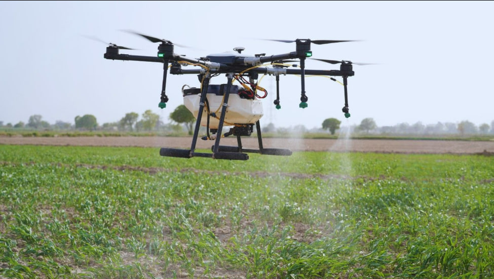 Berita Teknologi Indonesia Terbaru: AI dalam Pertanian Modern