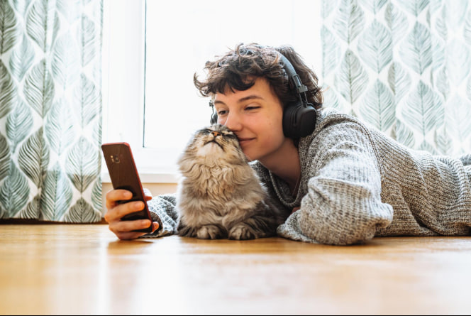 kucing peliharaan sehat bermain dan dirawat di dalam rumah