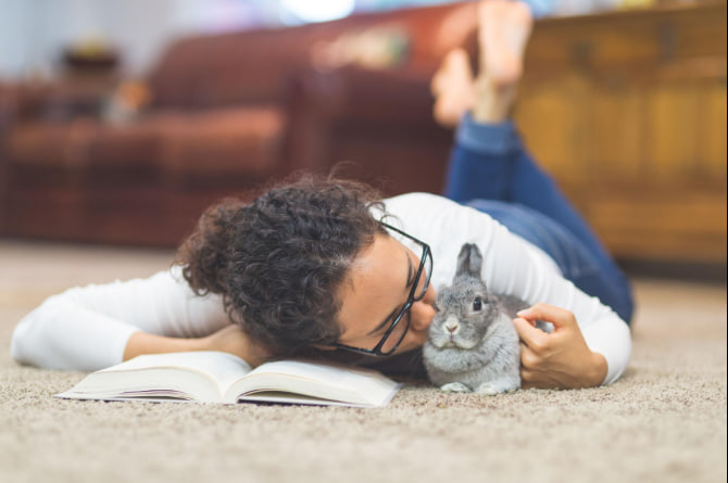 kelinci peliharaan sehat makan hay di kandang bersih